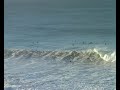 Unknown's Epic Paddle Out at Huge *****************