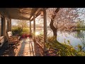 Cozy Spring Porch Ambience 🌅🌿 | Relaxing Nature Sounds & Birdsong Soundscape for Relaxation