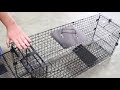 Humane Way Live Trap Assembly Tutorial