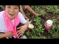 Ang Kahoy na Mabilis Umapoy! Ginagamit na ilaw at Pamparingas | BUNDOK ADVENTURE
