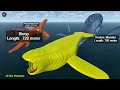 300+ Ultimate Sea Monster Size Comparison 3D || The El Gran Maja Monster Vs The Bloop Monster 👾
