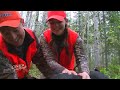 50 Bear Hunts in 15 Minutes! (ULTIMATE Bear Hunting Compilation) | BEST OF