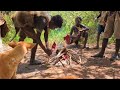Hadzabe Tribe Made It Again With BIG BABOON. the life of the hunter
