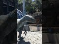 Jurassic world “Raptor Encounter”