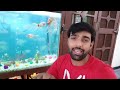 Aquarium Mey Shark Ah Gai 😲 Baki Fishes Ka Kia Ho Ga 🤔