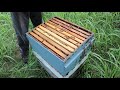🔵Removing bees from Honey supers FAST!
