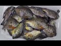 Easy Way To Catch Bluegill For Dinner