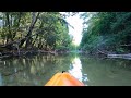 Crystal River Kayaking...  #kayakingfun #naturelovers #beautifulnature