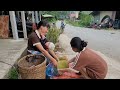 Harvesting jackfruit for sale - Process of preserving meat (pork) | Daily life of a single mother