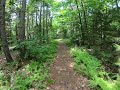Amazing Scenic walk in the Woods in Northern Vermont (GoPro)