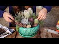 How I Make a Succulent Arrangement! 🌵😊 // Garden Answer