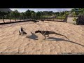 JWE2 SANDBOX OPTIONS & LIMITATIONS you need to know | Jurassic World Evolution 2 Sandbox