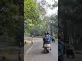 A morning ride from Maligaon to Shuttle Gate, Guwahati | *No music, no commentary*