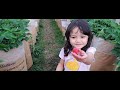 PANEN STRAWBERRY SERU DI CIWIDEY | Petik sendiri buahnya merah dan manis | PQR Deary