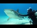 Scuba Diving in Tiger Beach with Epic Diving - Apr 2022 (10m)