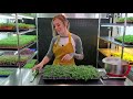 How to Grow Melon Microgreens | Full walk-through with TIPS & TRICKS  | On The Grow