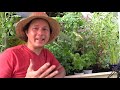 How to Have a Successful Garden in the Desert or Anywhere Top 10 Tips