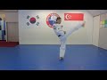 Yellow Belt Pattern by Hyun TKD Academy