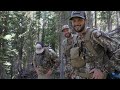 Tagged out in Wyoming!! | Archery Elk 2022