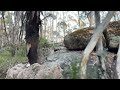 Sights and Sounds Hiking in the Aussie Bush | ASMR