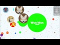 Agar.io FFA Gameplay - How long can you survive?