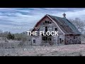 1103 - The Flock