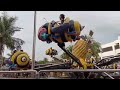Moa Bumblebee Ride!! | Read desc) | Name reveal?
