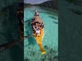 GoPro Hero 11 Black Underwater Tips & Trick