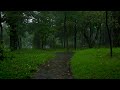 Overcome insomnia with the comfortable sound of rain falling on a beautiful road, ASMR for sleeping