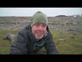 I am surrounded - Where to photograph? // BIRD PHOTOGRAPHY adventure in Svalbard