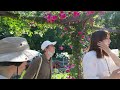 Rose's Garden in Nagai Park | Osaka free walking tour