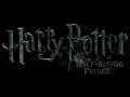 Harry Potter and the Half-Blood Prince in 5 Seconds