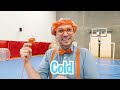 Sink or Float with Blippi! | Cool Science Experiment for Kids | Educational Videos For Toddlers