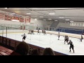 Hockey Highlights for Demonstration Seech