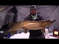 Ice Fishing and Slamming Pike in VERY Shallow Water!