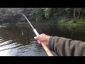 Salmon fishing on the river Tweed 31st August 2023
