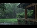 Sleep Therapy: Deep Slumber with Soothing Rain and Thunderstorm Ambience