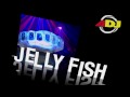 American DJ Jellyfish