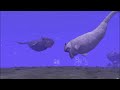 Bloop vs Giant Sea Monsters Level Challenge | SPORE