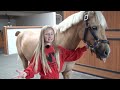 MY HORSE CONTROLS MY DAY!!! - Popcorn The Pony