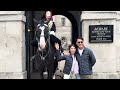 A Spectacular Day at Horse Guard in London: Where Majestic Horses Steal the Spotlight!