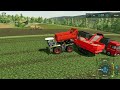 Machines on the Move: The Cutting Edge of Sugar Beet Harvesting | Fichthal V2 Farm | FS 22 | ep #38