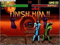 Mortal Kombat II: Sub-Zero Fatality Glitch