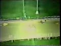 Wonderland - 1990 Derby - Greyhound Racing