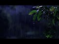 Calming White Noise of Rain | Rain Sounds for Sleeping