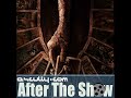 After The Show 848 - Tarot Review