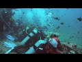 FIJI Tiger Shark Attack 2019 angle 2 斐济潜水被虎鲨攻击 角度2