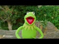 Kermit The Frog | Dear Earth