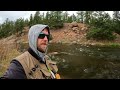 So Many Browns | Trout Fishing Colorado