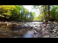 Nature in 4K 360 degrees. The gentle sounds of a mountain river and the singing of birds.